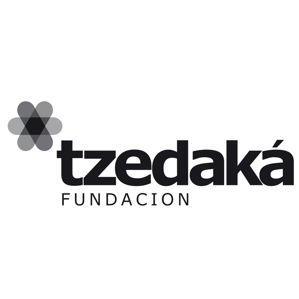 Fundaci�n Tzedak�